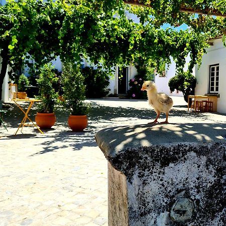 Oryza Guest House& Suites Coimbra Dış mekan fotoğraf