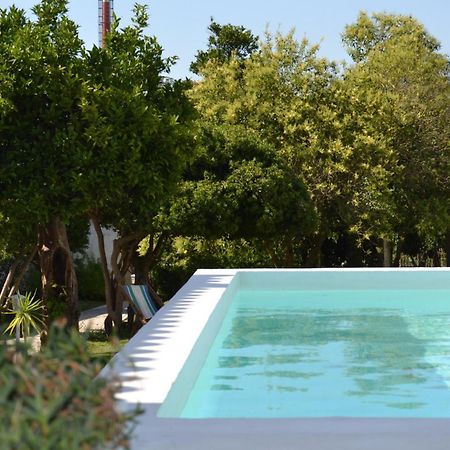 Oryza Guest House& Suites Coimbra Dış mekan fotoğraf