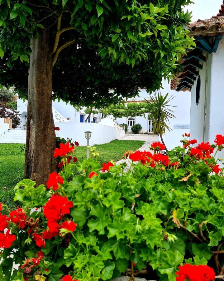 Oryza Guest House& Suites Coimbra Dış mekan fotoğraf