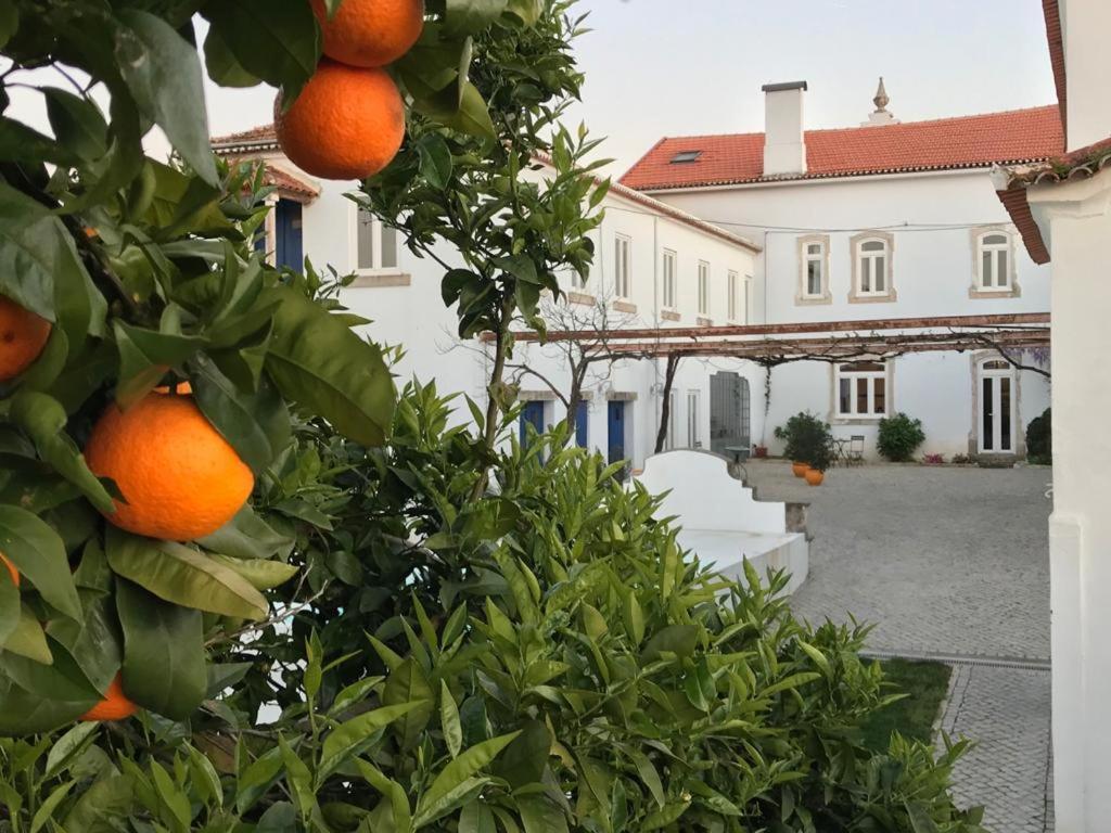 Oryza Guest House& Suites Coimbra Dış mekan fotoğraf