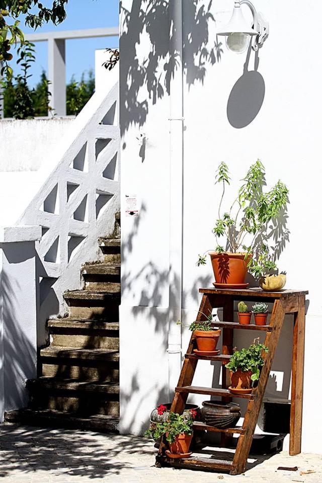 Oryza Guest House& Suites Coimbra Dış mekan fotoğraf