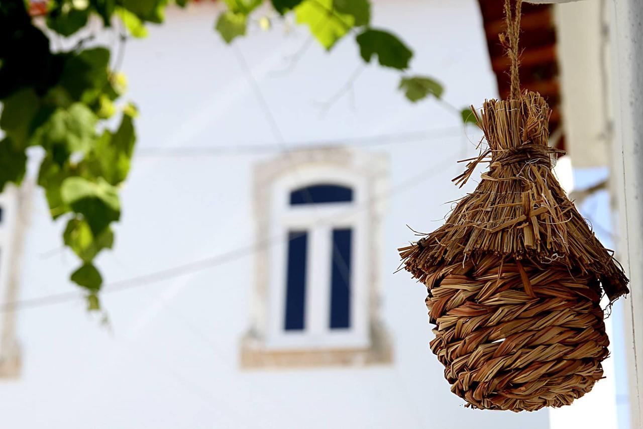 Oryza Guest House& Suites Coimbra Dış mekan fotoğraf